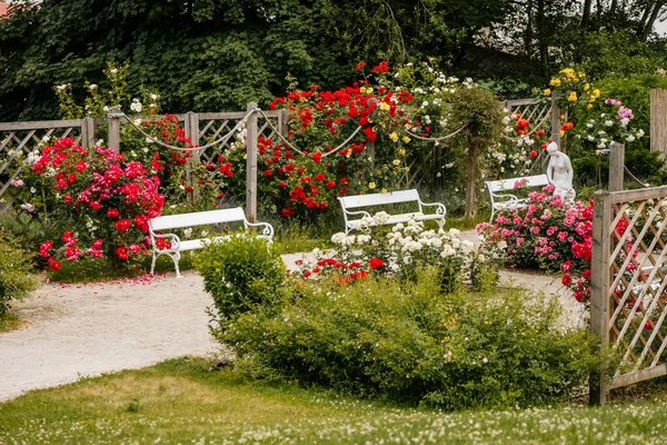 Velke Brezno Czech Republic June 2021 Chateau Velke Brezno Small — Stock Photo, Image