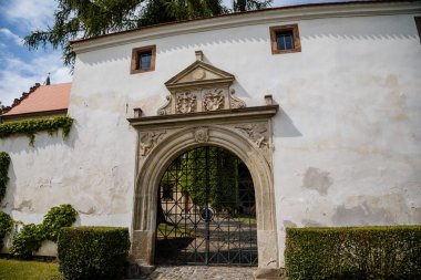 Benesov nad Ploucnici, Kuzey Bohemya, Çek Cumhuriyeti, 26 Haziran 2021: Güneşli yaz gününde eski Saksonya Rönesans kalesi, örümcekli taş kuleler, sarmaşık örgülü bej duvarlar, sokakta yeşil ağaçlar.