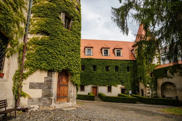 Benesov Nad Ploucnici Boêmia Norte República Checa Junho 2021 Velho — Fotografia de Stock