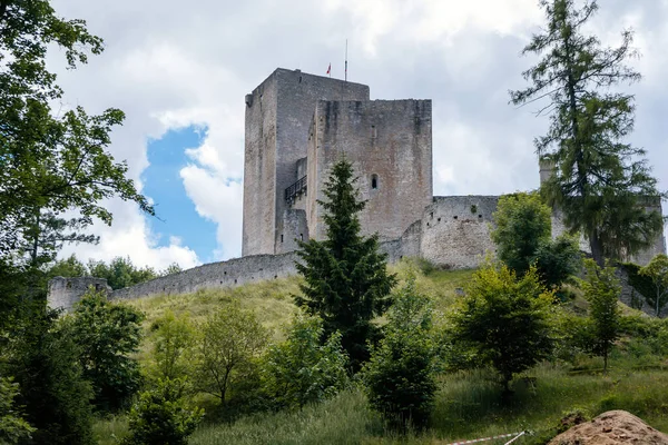 Landstejn 南ボヘミア チェコ共和国 2021年7月3日 晴れた夏の日にロマネスク様式とゴシック様式の城の中世の騎士古代遺跡 緑の丘の上に立つ石の壁 森林景観 — ストック写真