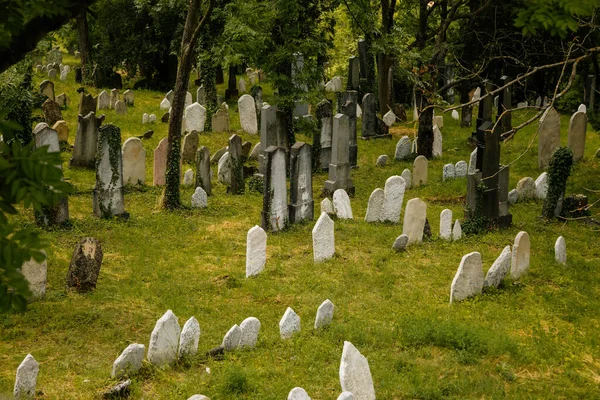 Mikulov South Moravian Region Czech Republic July 2021 Old Tombs — стокове фото