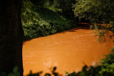 Kuks, Doğu Bohemya, Çek Cumhuriyeti, 10 Temmuz 2021: Barok kalesi ve hastane Kuks yakınlarında güneşli bir yaz günü, güneşli bir yaz gününde pasa benzer sarı, koyu turuncu sularla Elbe Nehri.