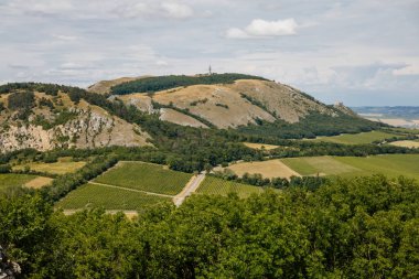 Mikulov, Güney Moravya Bölgesi, Çek Cumhuriyeti, 05 Temmuz 2021: Güneşli yaz gününde St. Jacob Yolu 'ndaki yeşil üzüm bağları tepeleri, panoramik manzara, şarap sokağı, turizm beldesi, Palava.
