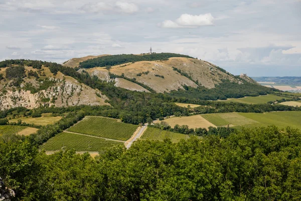 Mikulov, Güney Moravya Bölgesi, Çek Cumhuriyeti, 05 Temmuz 2021: Güneşli yaz gününde St. Jacob Yolu 'ndaki yeşil üzüm bağları tepeleri, panoramik manzara, şarap sokağı, turizm beldesi, Palava.