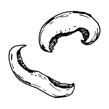 Dilimlenmiş, kıvrımlı ve solungaçlı mantarların siyah ve beyaz vektör çizimi. Malzeme setleri, yemek tarifleri, mutfak grafikleri, makarna tabakları ve pizza malzemelerine uygundur.