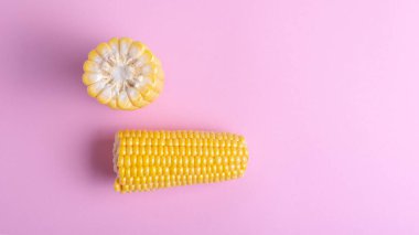 Renkli arka planda taze mısır. Dağınık taneler, ürünün yarıları..