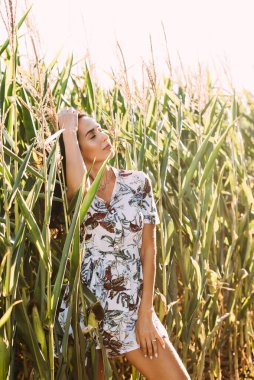 Zarif bir yaz elbisesi içinde genç ve güzel bir esmer ve güneş ışınlarında hasır şapkalı doğa yürüyüşünde.