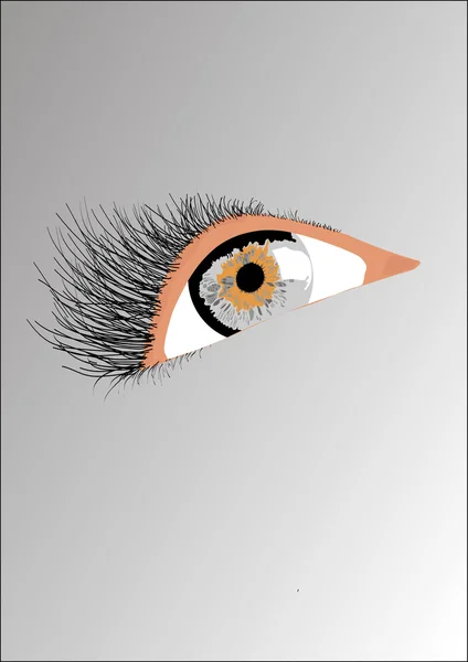 Grey eye beautiful — Stock Vector
