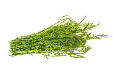 Bir yığın taze Senegalia Pennata. Kamera üst görünümünden beyaz arkaplanda izole edilmiş görüntü