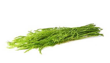 Bir yığın taze Senegalia Pennata. Kameradan beyaz arkaplanda izole edilmiş görüntü