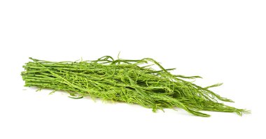 Taze Senegalia Pennata. Kameradan beyaz arkaplanda izole edilmiş görüntü