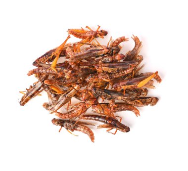 Beyaz arkaplan arkaplanına yerleştirilmiş bir yığın kızarmış çekirge ya da belalang kamera görüntüsü