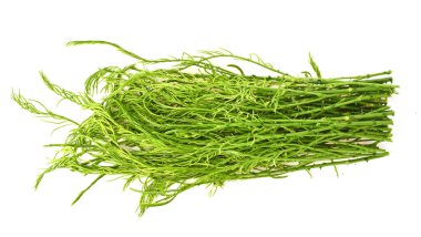 Bir yığın taze Senegalia Pennata. Kamera üst görünümünden beyaz arkaplanda izole edilmiş görüntü