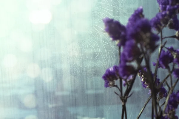 Frost kırık cam yakınındaki lavendar çiçekler