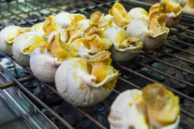 Izgara salyangoz kabuğu