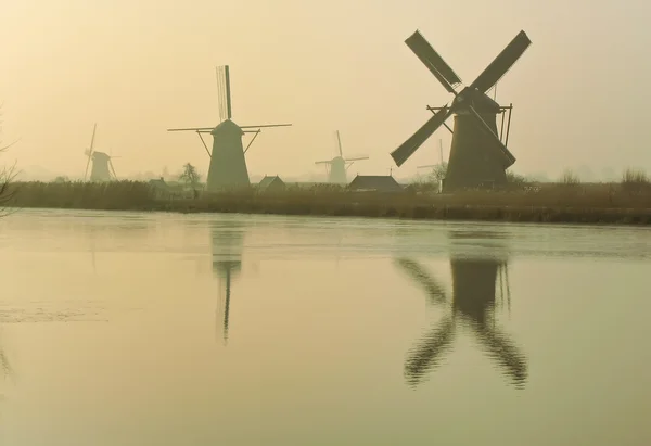 Traditional Dutch windmills at dawn — Stock Photo, Image