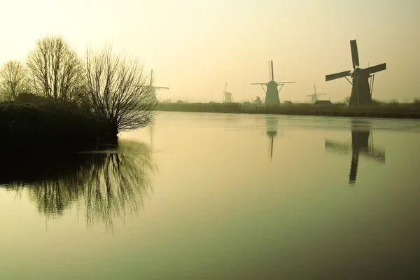 Molinos de viento holandeses tradicionales al amanecer Fotos de stock