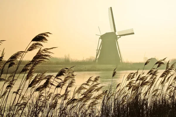 Molinos de viento holandeses tradicionales al amanecer Imagen de archivo