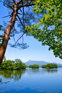 Onuma Milli Parkı yaz aylarında Hokkaido, Japonya.