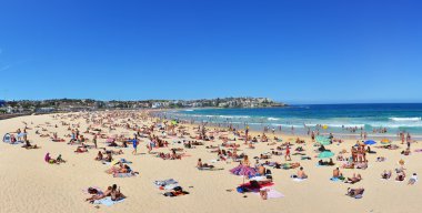Yaz aylarında Bondi Beach