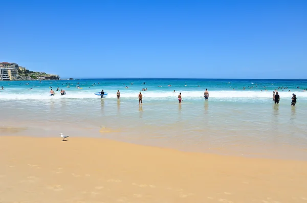 Été à Bondi Beach, Sydney, Australie . — Photo