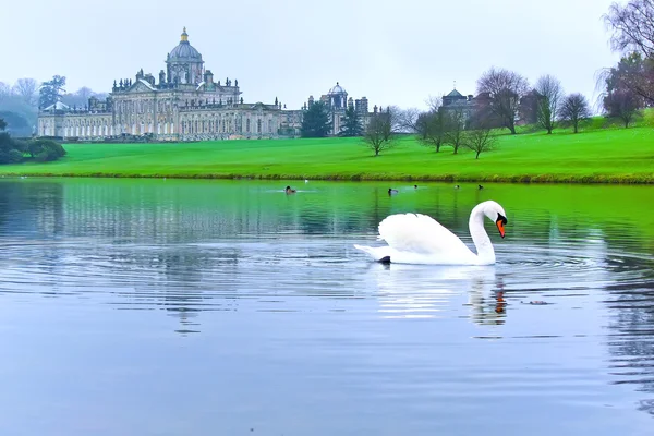 Swan on the lake in Castle Howard, England, UK. — Stock Photo, Image