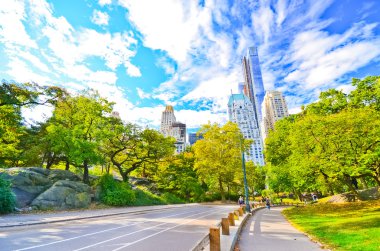 New York 'ta güneşli bir günde Central Park manzarası