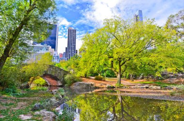 New York'taki Central Park görünümünde sonbahar