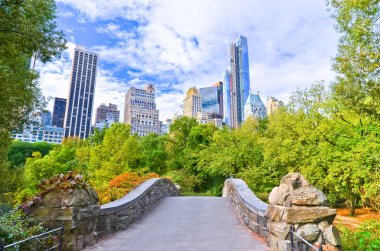 New York'taki Central Park görünümünde sonbahar