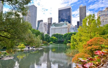 New York'taki Central Park görünümünde sonbahar