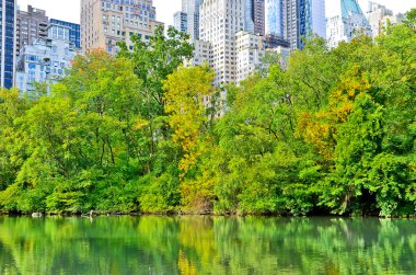 New York'taki Central Park görünümünde sonbahar