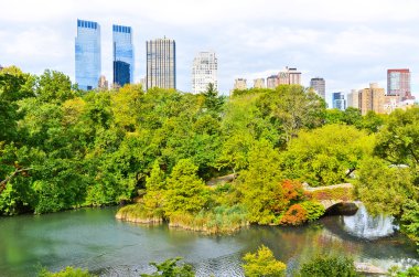 New York'taki Central Park görünümünde sonbahar