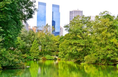 New York'taki Central Park görünümünde sonbahar
