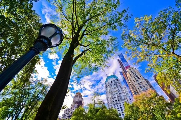 Utsikt över New Yorks skyline från Central Park — Stockfoto