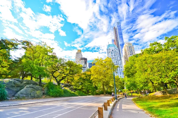 Widok na Central Park w słoneczny dzień w Nowym Jorku — Zdjęcie stockowe