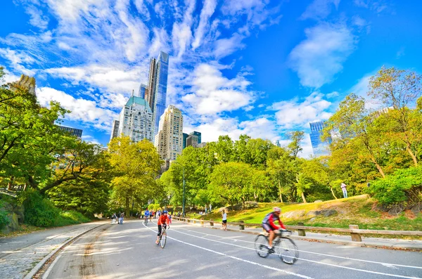 Näkymä Central Parkiin aurinkoisena päivänä New Yorkissa — kuvapankkivalokuva