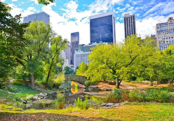 Utsikt över Central Park i New York i höst — Stockfoto