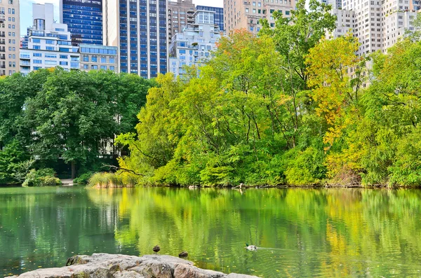 Utsikt över Central Park i New York i höst — Stockfoto