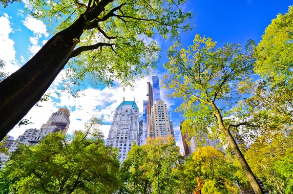 Vista do horizonte de Nova York do Central Park Fotografias De Stock Royalty-Free