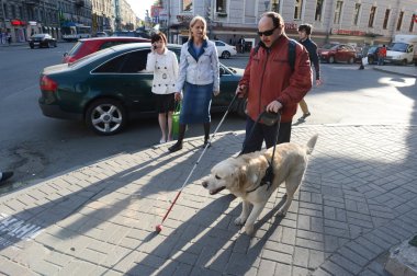 Kör adam ve rehber köpek