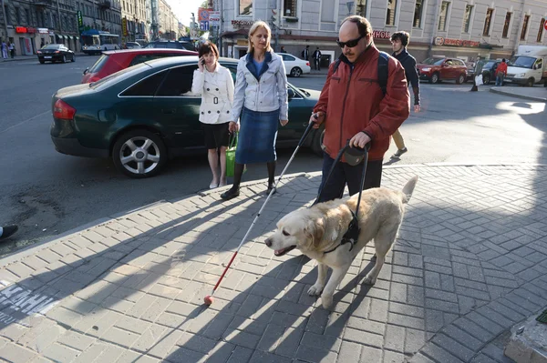 盲人与导盲犬 — 图库照片