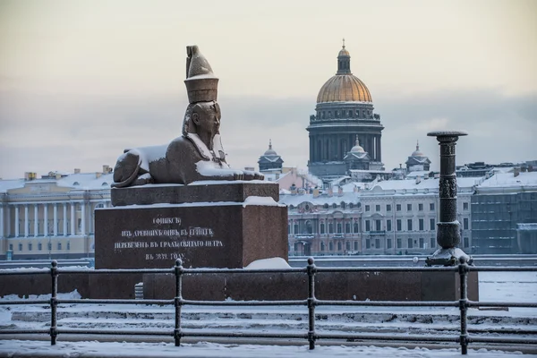 Sphinx égyptien Saint-Pétersbourg — Photo