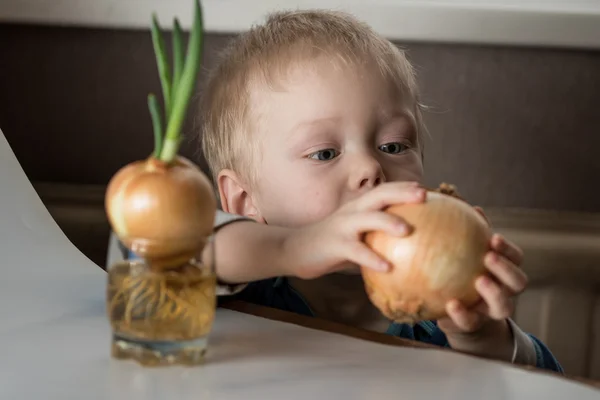 Baby boy and fresh chives — Stock Photo, Image