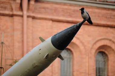 Askeri bir füzenin ucunda oturan bir karganın konsept fotoğrafı. Endişenin, savaşın, barışın sembolü. Dünyanın kaderiyle ilgili endişeli duygular. Bir tuğla binanın arka planına karşı. Keskin kuş silueti