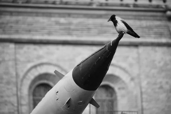 一只乌鸦坐在军用导弹末端的概念图 和平的象征对世界命运的渴望 在砖楼的背景下锐利的鸟的轮廓 — 图库照片