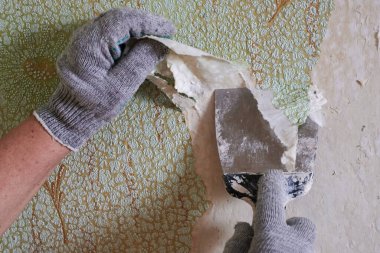 Kullanılabilir aletler, spatula, eller ve koruyucu eldivenlerle eskimiş yeşili duvardan kaldırma süreci..