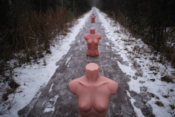 Conceptual art photography about anxious human feelings of fear, hopelessness, mood of sadness: three bodies of mannequins on a winter trail in chilly weather, lined up in one row.