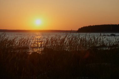 Finlandiya Körfezi 'nde güzel bir günbatımı. Tipik kuzey yaz manzarası.
