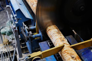 Kereste fabrikasında ahşap işleme. Kontrplak ve kaplama üretimi için bir kütük hazırlama, bir ahşap fabrikasında kuru temizleme ve testere, teknolojik bir hat.