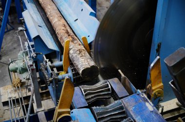 Kereste fabrikasında ahşap işleme. Kontrplak ve kaplama üretimi için bir kütük hazırlama, bir ahşap fabrikasında kuru temizleme ve testere, teknolojik bir hat.